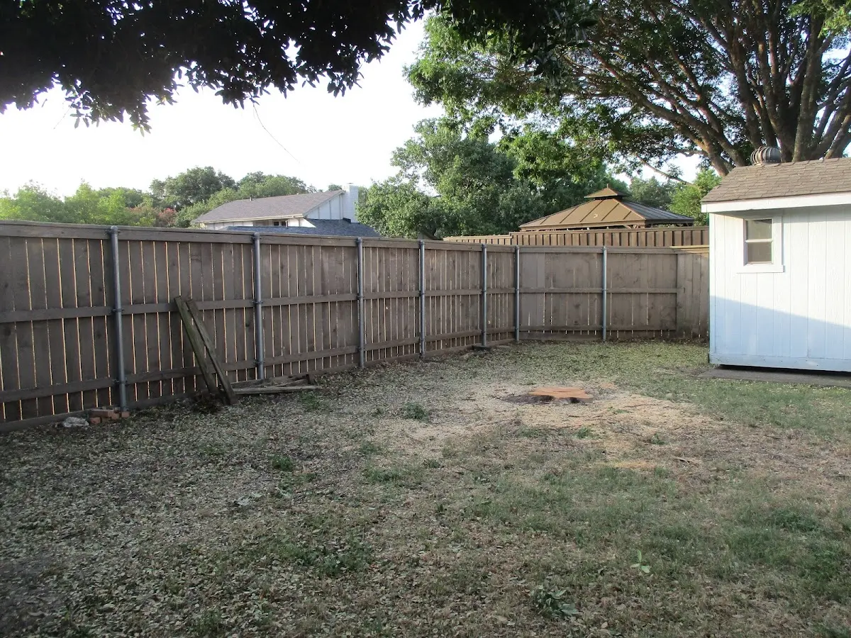 Cleared yard after professional tree removal in Oak Harbor